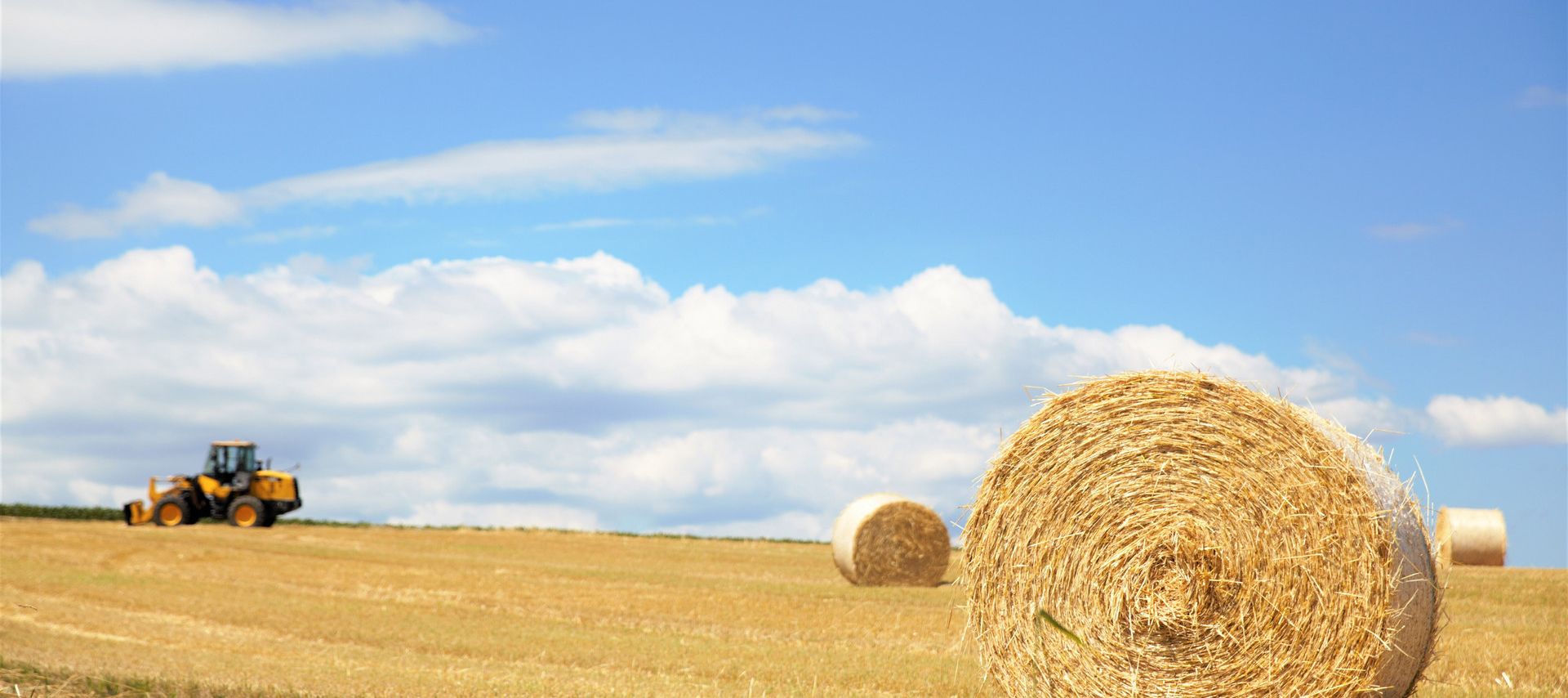 深圳市重點(diǎn)農(nóng)業(yè)龍頭企業(yè)認(rèn)定與監(jiān)測(cè)  管理辦法